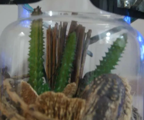 Апартаменты Casa Joca Duquesa Торремолинос