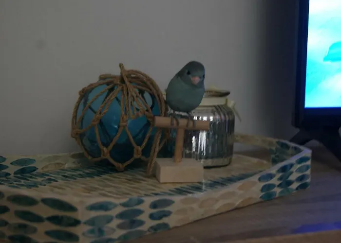 Casa Joca Duquesa Торремолинос