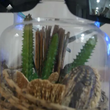 Apartment Casa Joca Duquesa Torremolinos