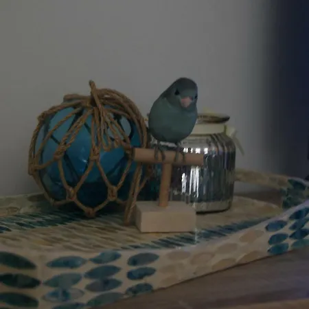 Casa Joca Duquesa Torremolinos